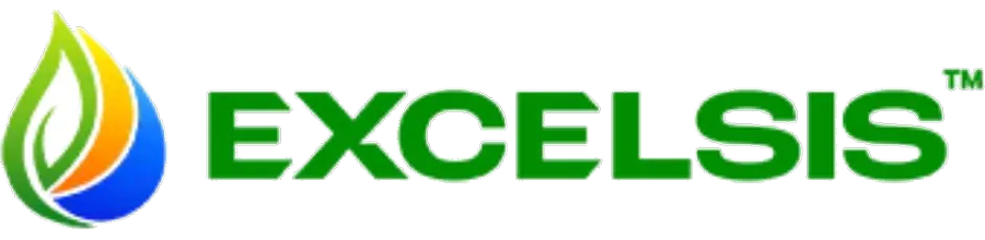 Excelsis logo